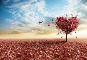 Kalp Şeklinde Ağaç-Kırmızı Yapraklar