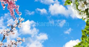 Gökyüzü-Beyaz-Pembe Bahar Dalı