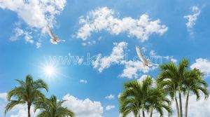 Gökyüzü-Bulutlu-Kuşlu- Palmiye Ağaçlı