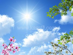Gökyüzü-Yeşil Yapraklı-Pembe -Beyaz Çiçekli 