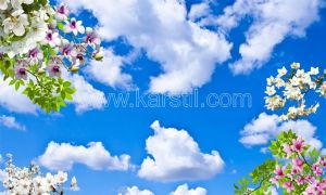 Gökyüzü-Çiçekli-Bulutlu