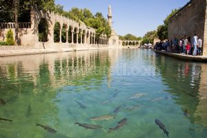 Şanlıurfa Balıklıgöl