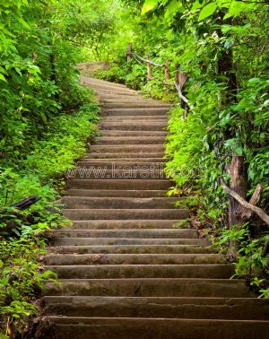 Ağaçlı-Merdivenli Yol