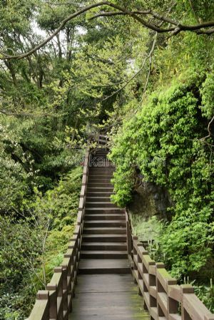 Yeşil Orman-Merdiven