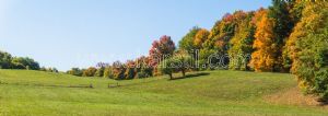 Ormanlık-Yeşil Park