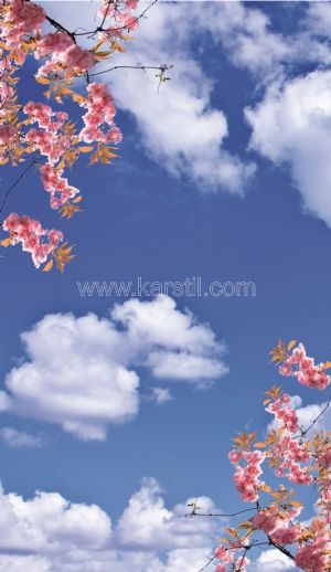 Gökyüzü-Bulut-Pembe Bahar Dalı