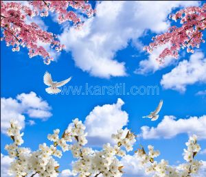 Pembe-Beyaz Çiçekli Gökyüzü