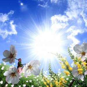 Gökyüzü-Güneş Işığı-Bahar Çiçekleri