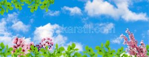 Gökyüzü-Pembe Yaz Çiçekleri