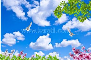 Gökyüzü-Çiçekli-Güvercinli