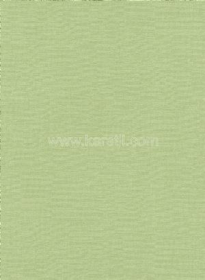 Yeşil Renkli Kırçıl Desenli Duvar Kağıdı