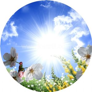 Gökyüzü Güneşli-Yaz Çiçekleri
