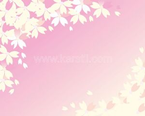 Pembe Arka Fon-Beyaz Çiçek-Vektörel