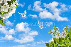 Gökyüzü-Erik Çiçeği